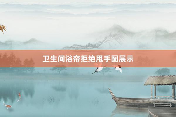 卫生间浴帘拒绝甩手图展示